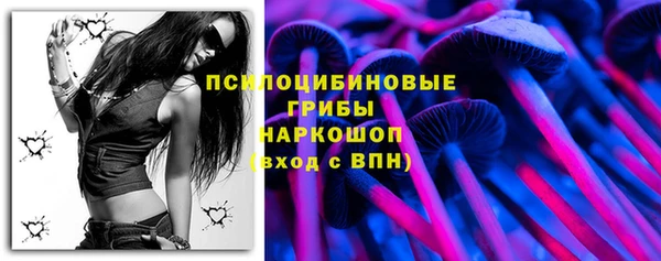 спайс Алзамай