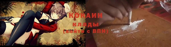 стаф Алексин