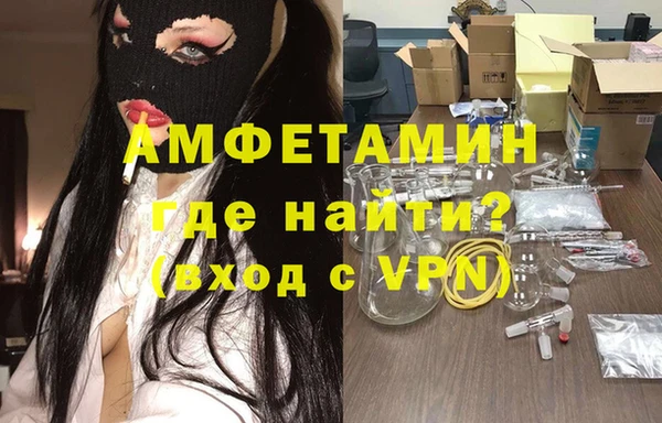 индика Пестово