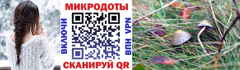 как найти наркотики  Хвалынск  Галлюциногенные грибы MAGIC MUSHROOMS 